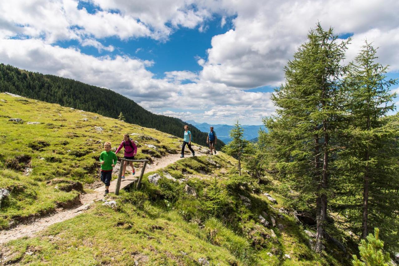 Nockberge Lodge Bad Kleinkirchheim Dış mekan fotoğraf